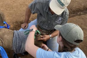 Zululand-Conservation-Trust-Ruby-and-Emily-5