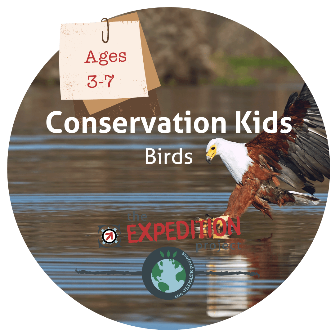 Birds (Conservation Kids) - The Expedition Project