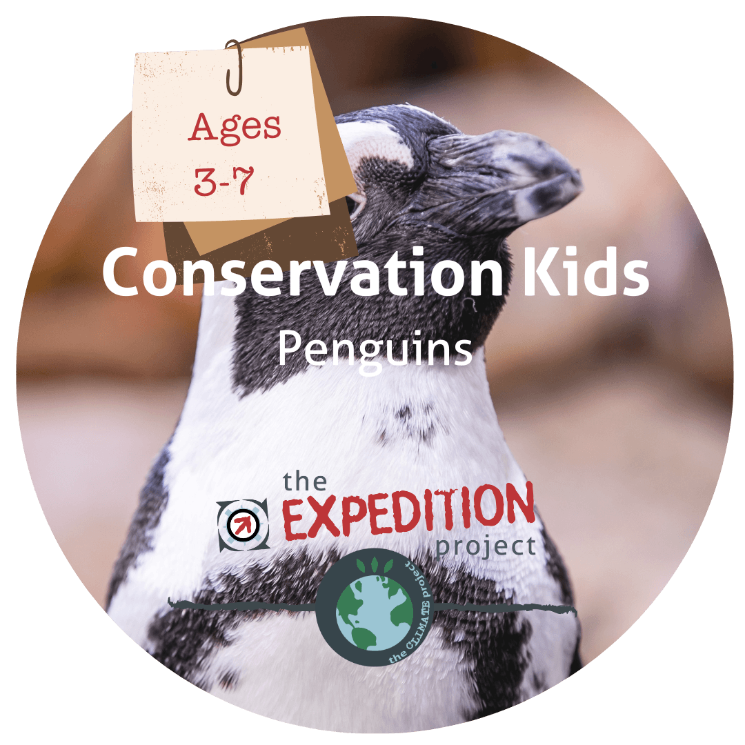 Penguins (Conservation Kids) - The Expedition Project
