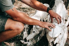 Tango K9 Anti Poaching Unit 2