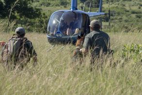 Tango K9 Anti Poaching Unit