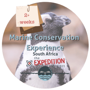 Marine Conservation Experience