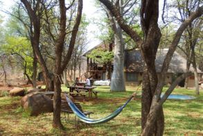nDzuti Bush Camp Hammock