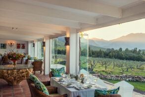 Galenia Estate Montagu (13)